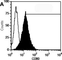 Detection of Mouse TGF-beta 2 by Flow Cytometry