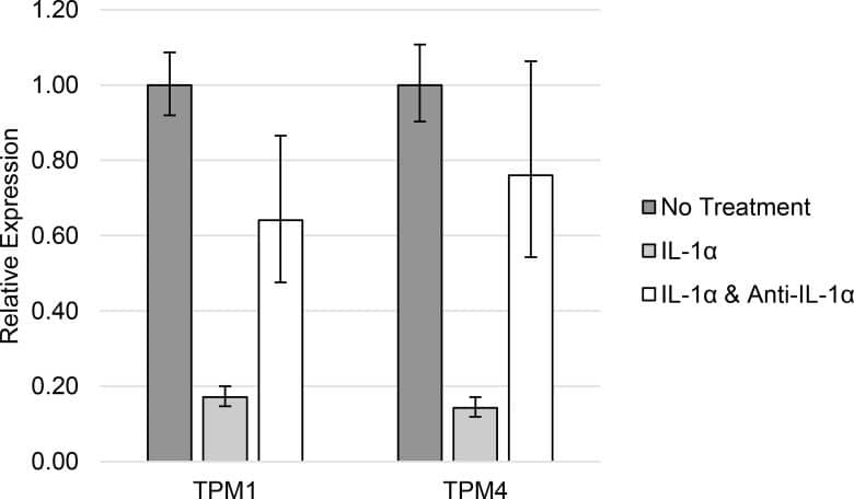 Detection of Human IL-1 alpha/IL-1F1 by Functional