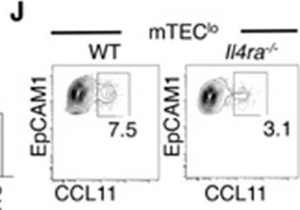 Detection of CCL11/Eotaxin by Flow Cytometry