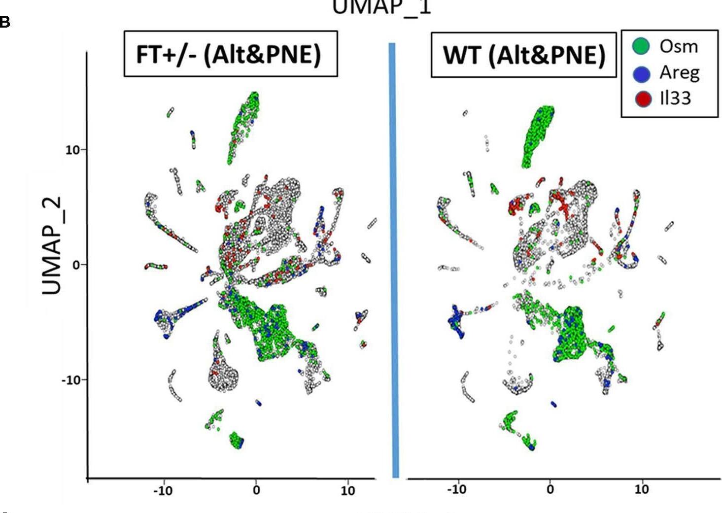 Detection of Mouse Oncostatin M/OSM by Flow Cytometry