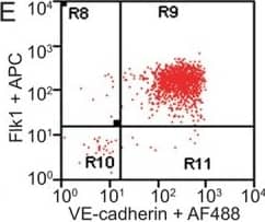 Detection of Mouse VE-Cadherin by Flow Cytometry