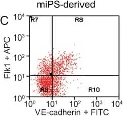 Detection of Mouse VE-Cadherin by Flow Cytometry