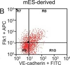 Detection of Mouse VE-Cadherin by Flow Cytometry