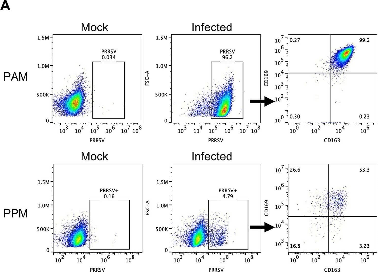 Detection of Cystatin A by Flow Cytometry