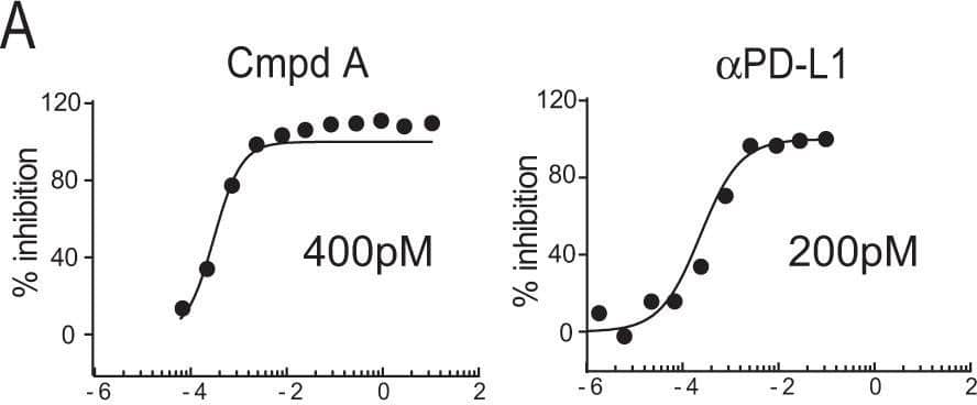 Detection of Chinese hamster PD-L1 by Western Blot