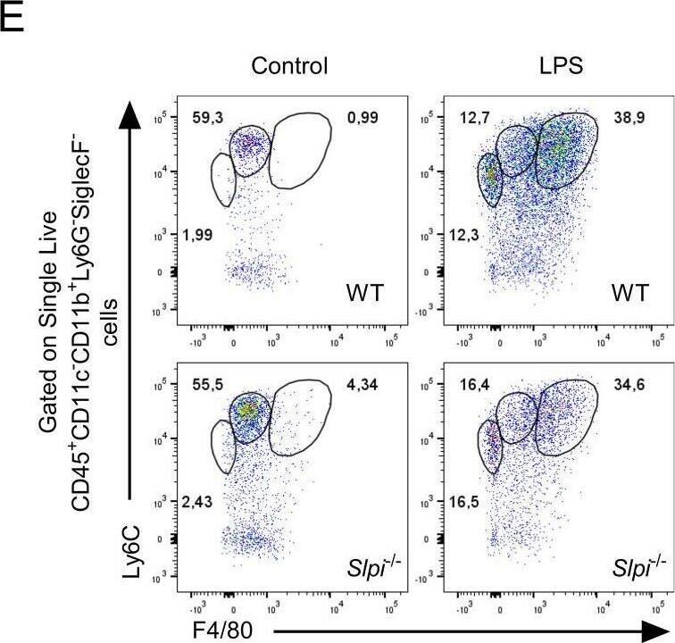 Detection of SLPI by Flow Cytometry