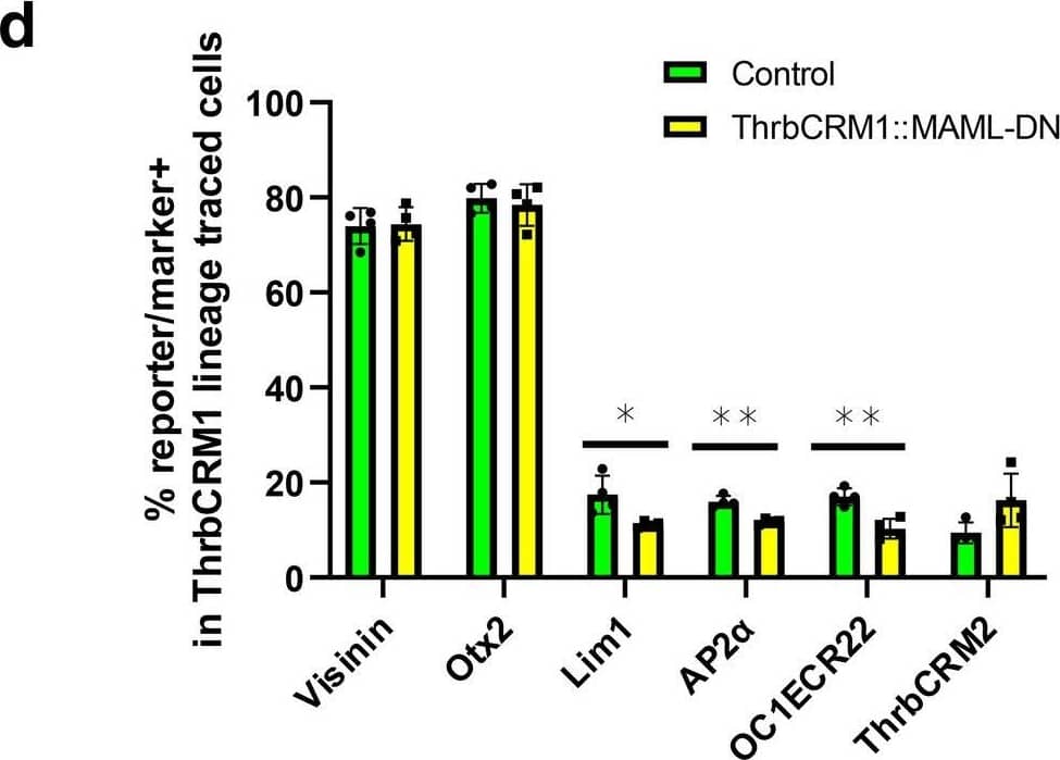 Detection of Chicken Otx2 by Flow Cytometry
