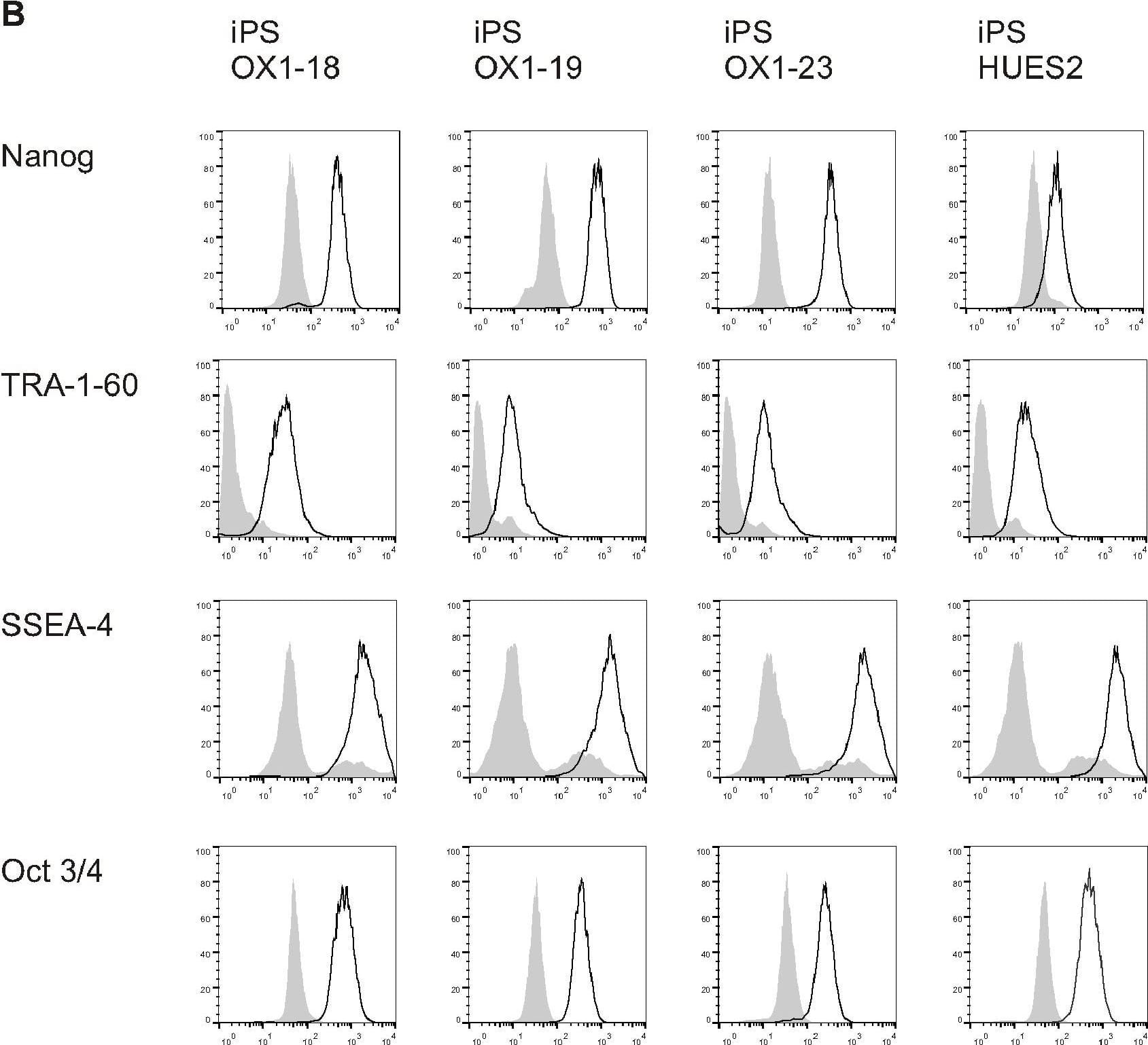 Detection of Human Nanog by Flow Cytometry