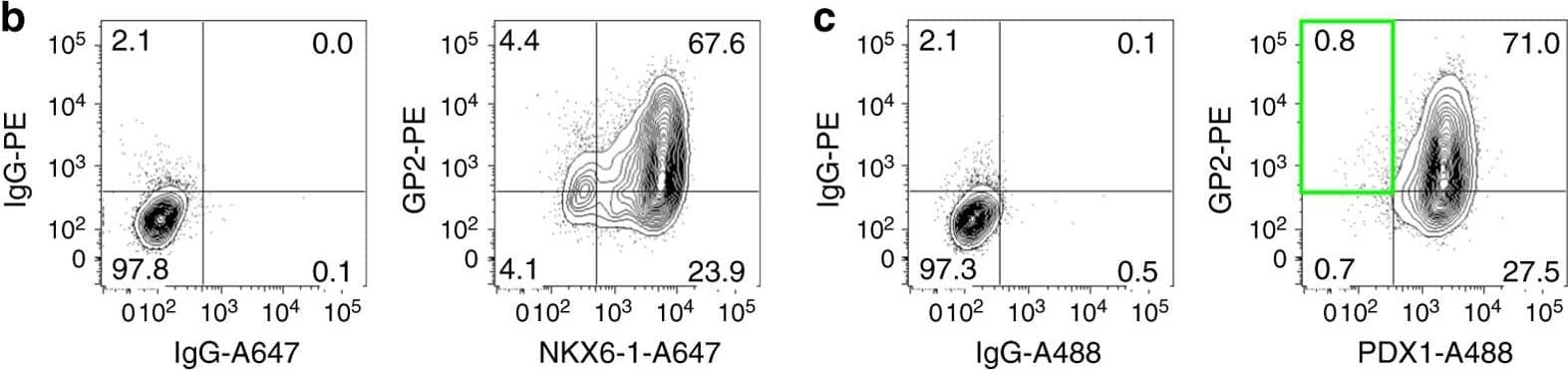 Detection of Human Human PDX-1/IPF1 Antibody by Flow Cytometry