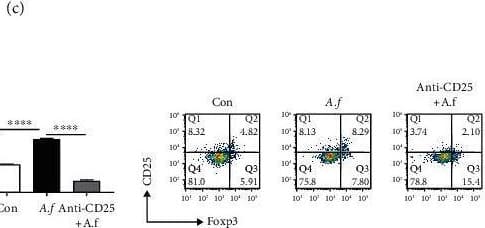 Detection of Mouse CD25/IL-2R alpha by Flow Cytometry
