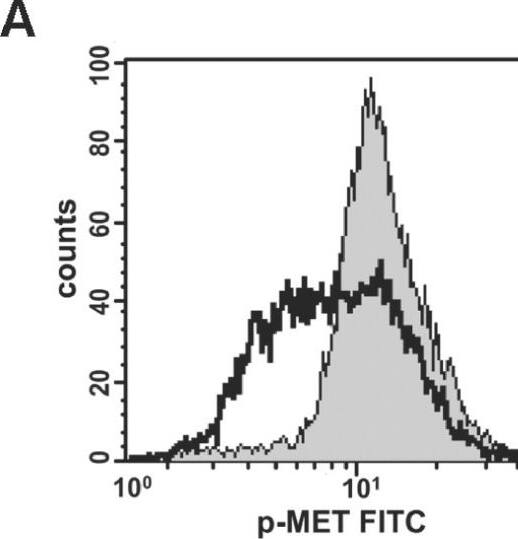 Detection of Human HGFR/c-MET by Flow Cytometry