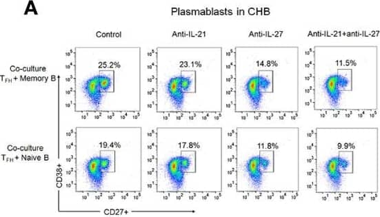 Detection of Human IL-27 by Flow Cytometry