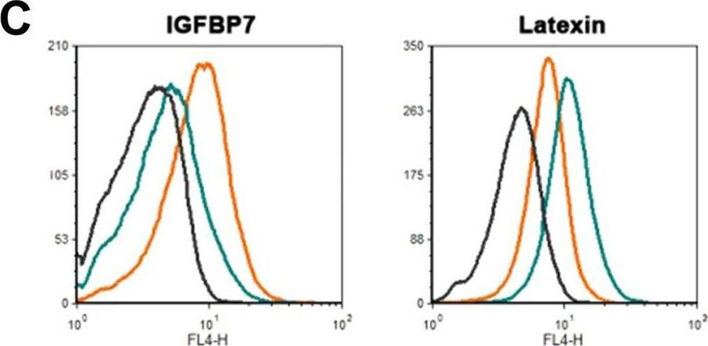 Detection of Latexin by Flow Cytometry
