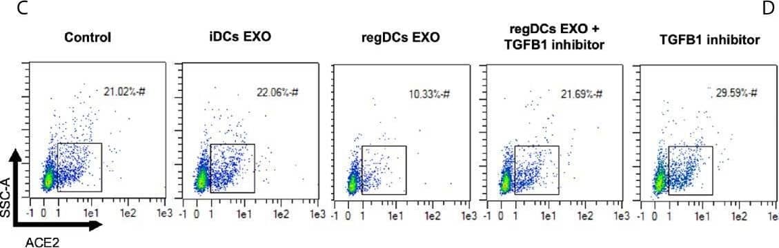 Detection of ACE-2 by Flow Cytometry