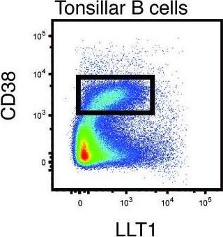 Detection of OCIL/CLEC2d by Immunohistochemistry