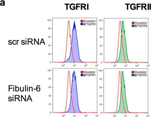 Detection of Mouse MSP/MST1 by Flow Cytometry