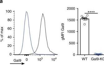 Detection of Galectin-9 by Flow Cytometry