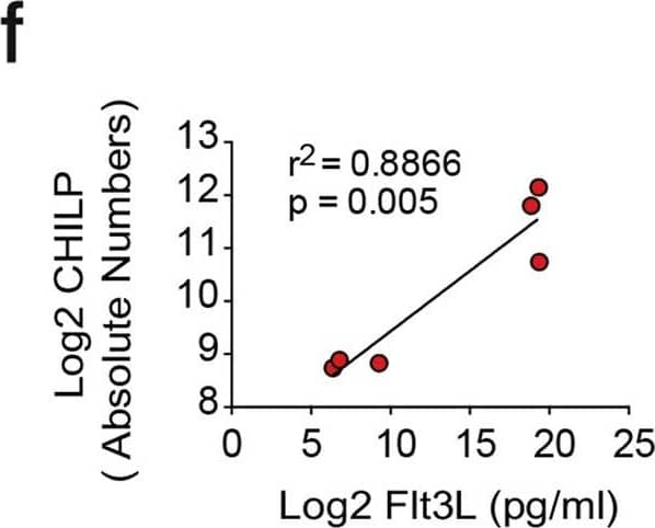 Detection of Mouse Flt-3 Ligand/FLT3L by ELISA Detection of Mouse Flt-3 Ligand/FLT3L by ELISA