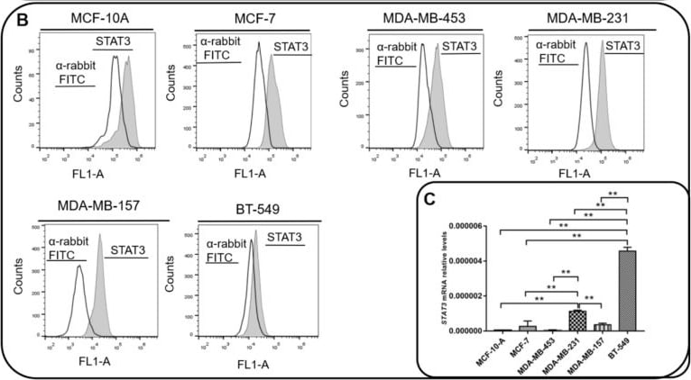 Detection of Phospho-STAT3 (Y705) by Flow Cytometry