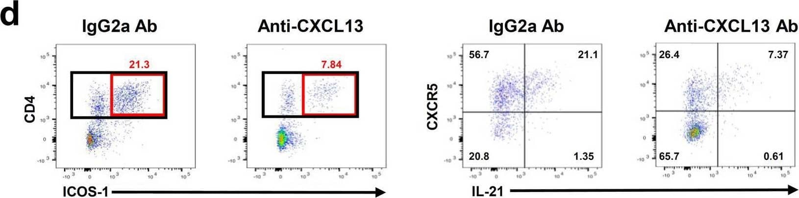 Detection of Mouse CXCL13/BLC/BCA-1 by Flow Cytometry