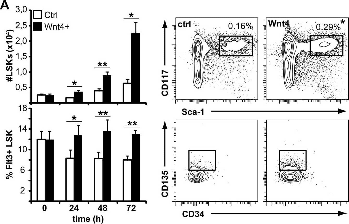 Detection of Wnt-4 by Flow Cytometry