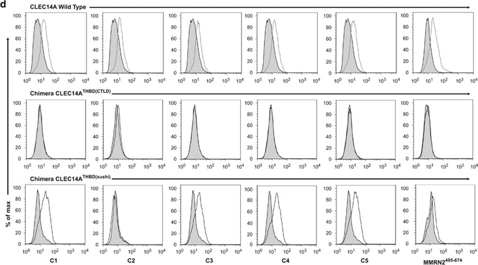 Detection of Human CLEC14A by Flow Cytometry