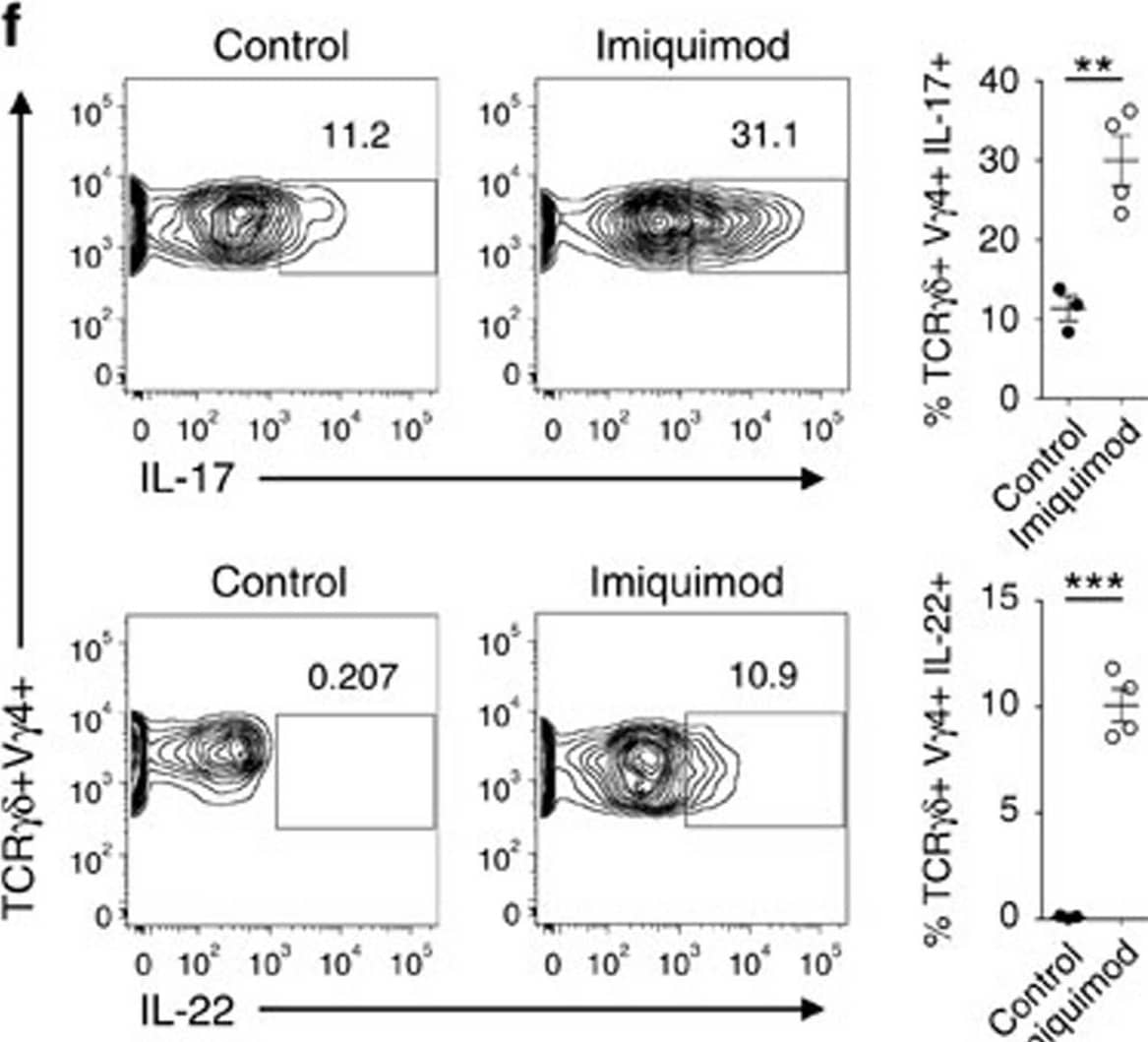 Detection of Mouse Mouse IL-22 Antibody by Flow Cytometry