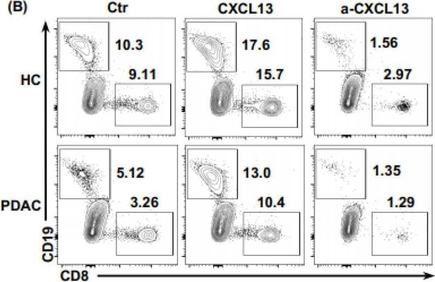 Detection of CXCL13/BLC/BCA-1 by Flow Cytometry