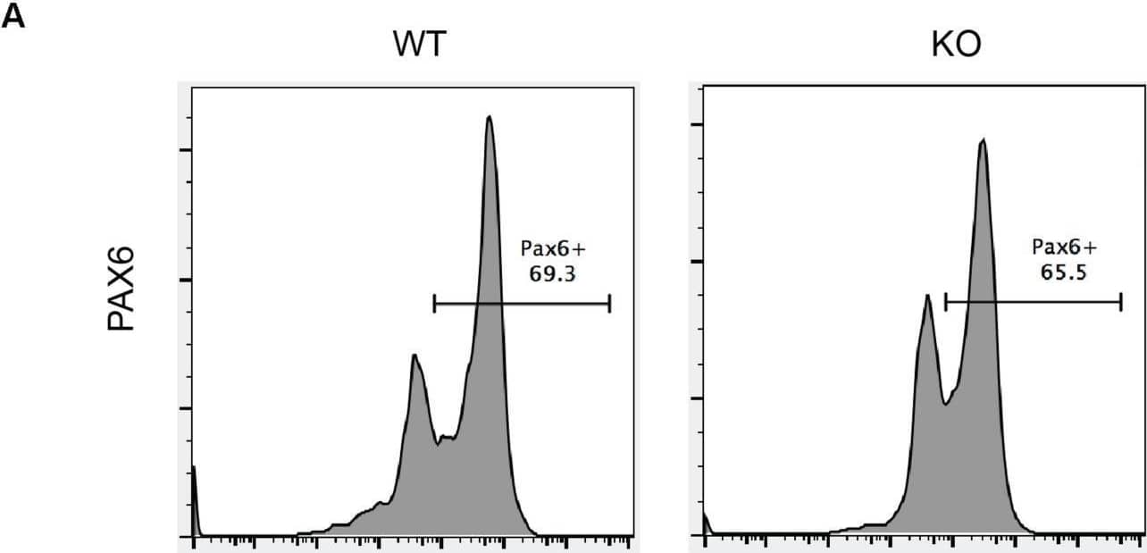 Detection of Pax6 by Flow Cytometry