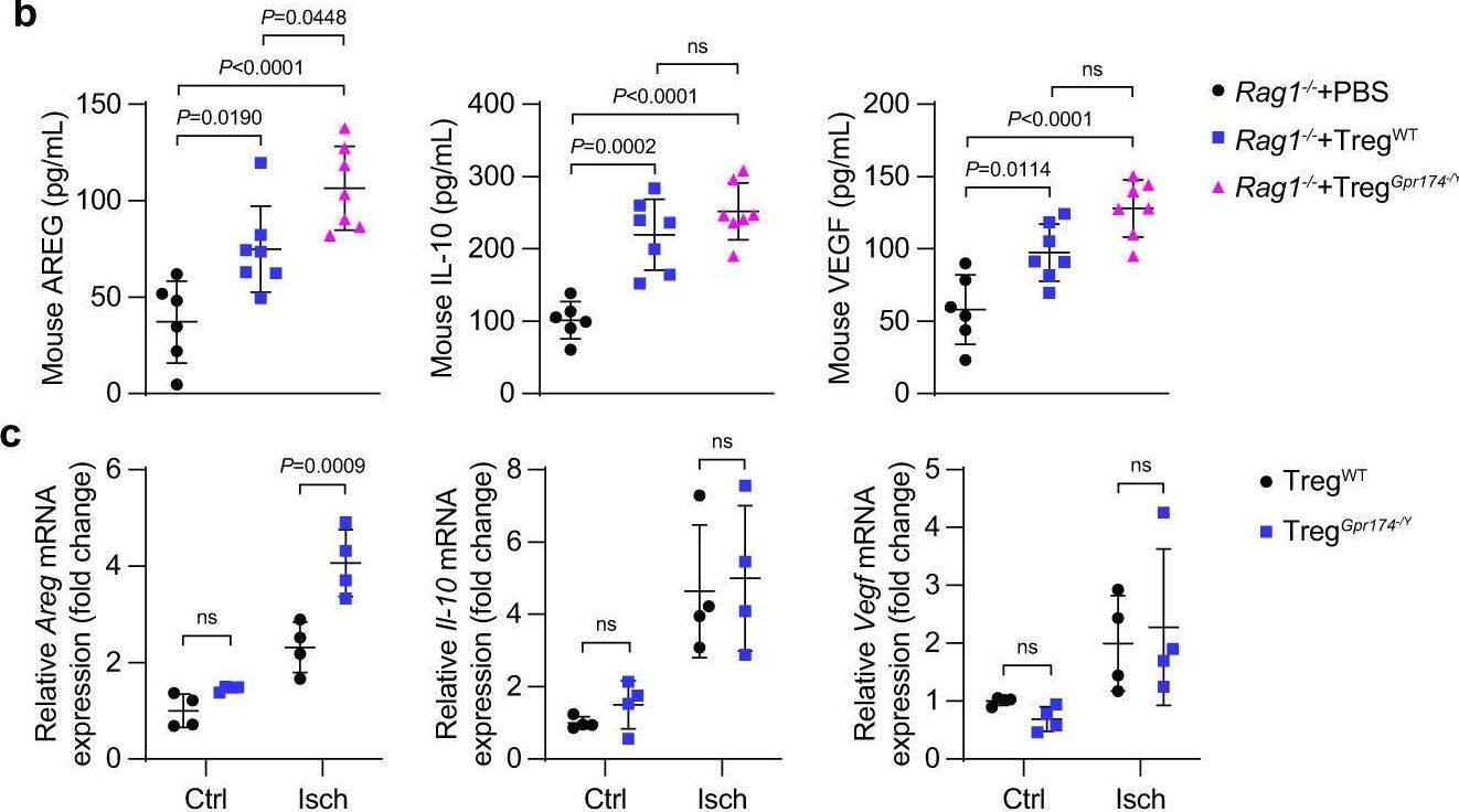 Detection of Amphiregulin by Flow Cytometry