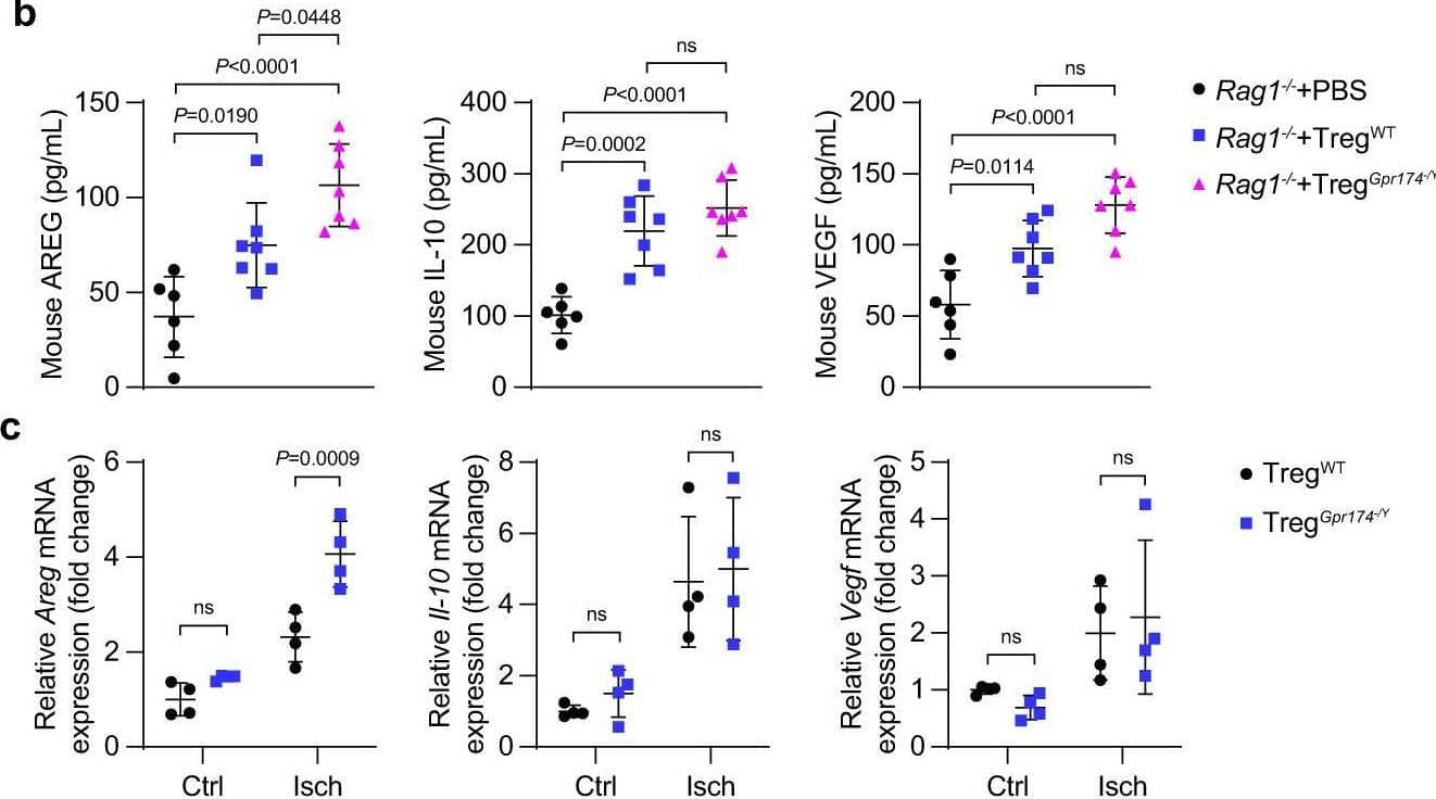 Detection of Amphiregulin by Flow Cytometry
