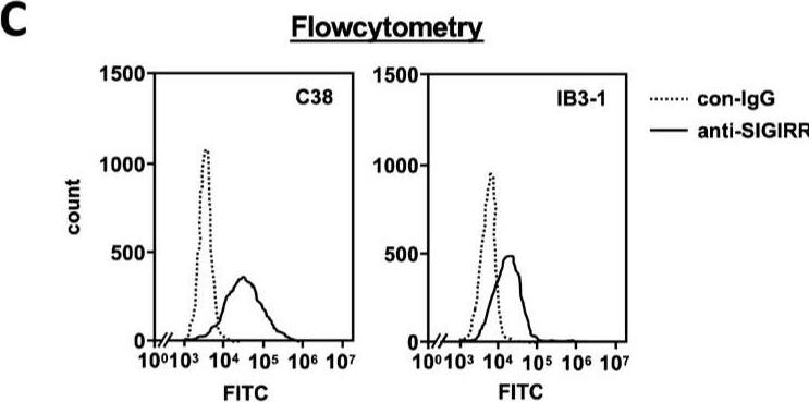 Detection of SIGIRR by Flow Cytometry