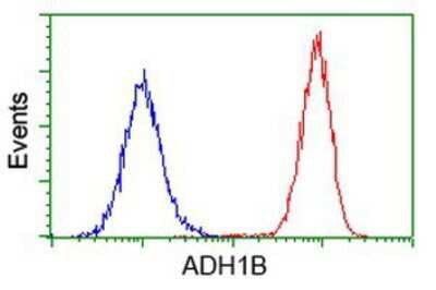 Flow Cytometry: alcohol dehydrogenase 1B Antibody (OTI4F12) [NBP2-00649]