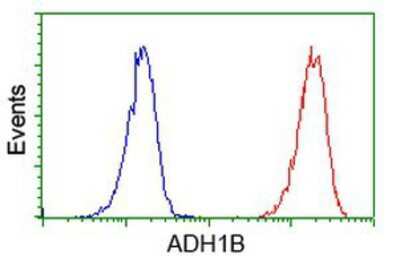 Flow Cytometry: alcohol dehydrogenase 1B Antibody (OTI4F12) [NBP2-00649]