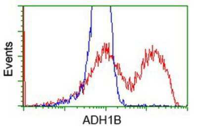 Flow Cytometry: alcohol dehydrogenase 1B Antibody (OTI4F12) [NBP2-00649]