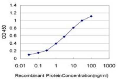 ELISA: alcohol dehydrogenase 6 Antibody (4G4) [H00000130-M01]