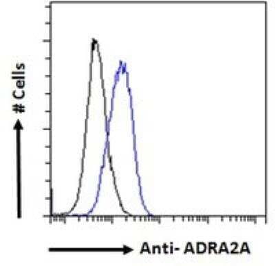 Flow Cytometry: alpha-2A Adrenergic R/ADRA2A Antibody [NB100-2819]