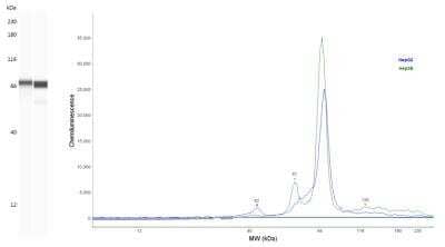 Simple Western: alpha-Fetoprotein/AFP Antibody (189508) [MAB13692]