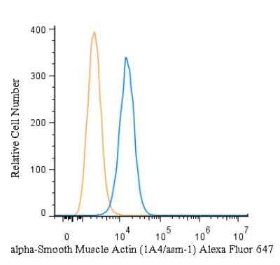 Flow Cytometry of HeLa Cells Stained with Alexa Fluor 647 Conjugated alpha-Smooth Muscle Actin Antibody