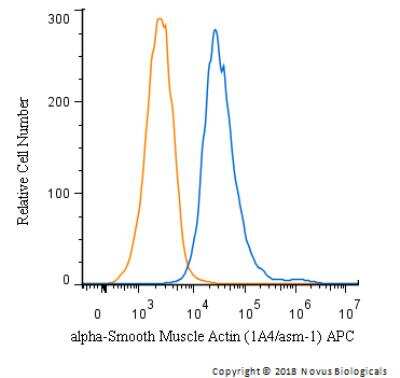 Flow Cytometry of HeLa Cells Stained with Allophycocyanin Conjugated alpha-Smooth Muscle Actin Antibody