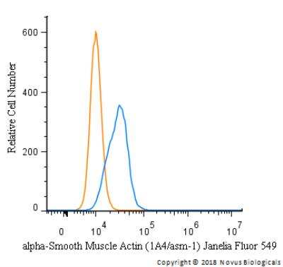 Flow Cytometry of HeLa Cells Stained with Janelia Fluor 549 Conjugated alpha-Smooth Muscle Actin Antibody
