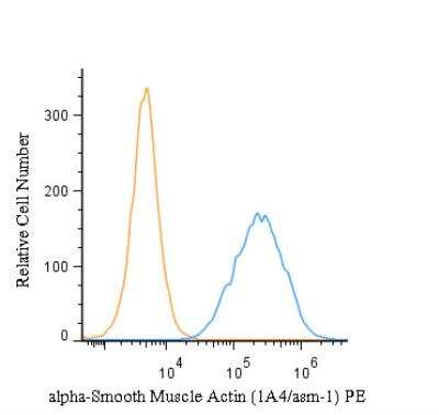 Flow Cytometry of HeLa Cells Stained with Phycoerythrin Conjugated alpha-Smooth Muscle Actin Antibody