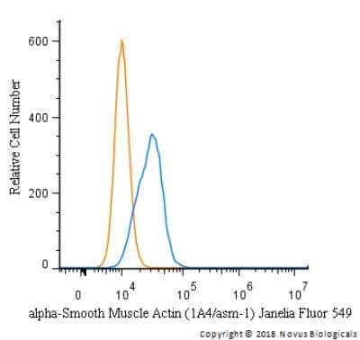 Flow Cytometry of HeLa Cells Stained with Janelia Fluor 549 Conjugated alpha-Smooth Muscle Actin Antibody