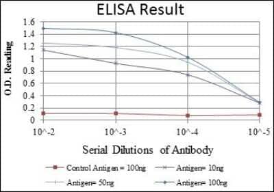 ELISA: alpha-Smooth Muscle Actin Antibody (1H8) - BSA Free [NBP2-37641]
