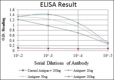 ELISA: alpha-Smooth Muscle Actin Antibody (4A4) - BSA Free [NBP2-22120]