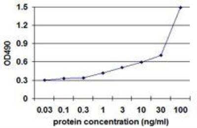 ELISA: alpha-Smooth Muscle Actin Antibody Pair [H00000059-AP41]