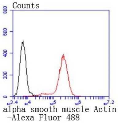 Flow Cytometry: alpha-Smooth Muscle Actin Antibody (SY02-64) [NBP2-67440]