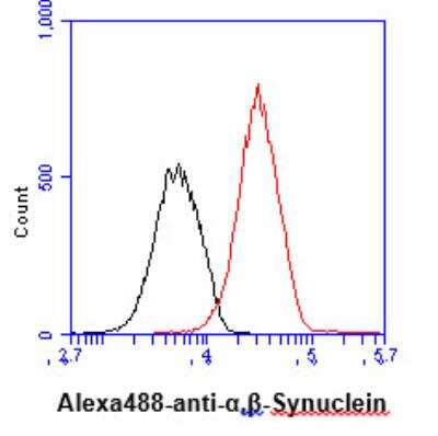 Flow Cytometry: Synuclein alpha/beta Antibody (3B6) - BSA Free [NBP1-22957]