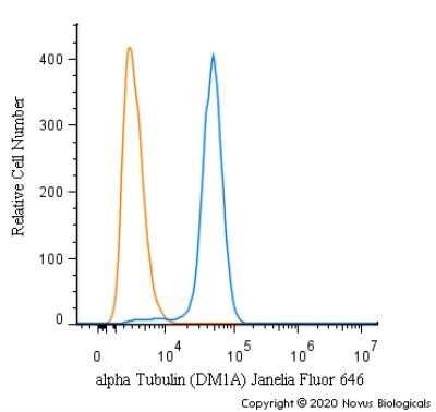 Flow Cytometry: alpha Tubulin Antibody (DM1A) - Azide and BSA Free [NBP2-80570]