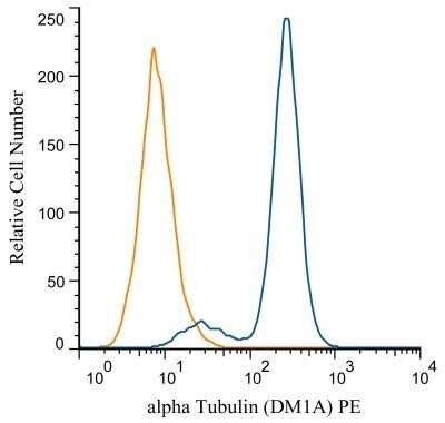 Flow Cytometry: alpha Tubulin Antibody (DM1A) - Azide and BSA Free [NBP2-80570]